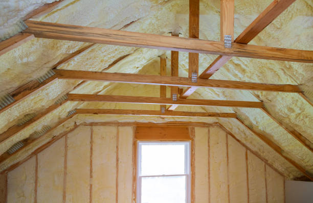Best Insulation Maintenance and Repair in Collinsvle, IL