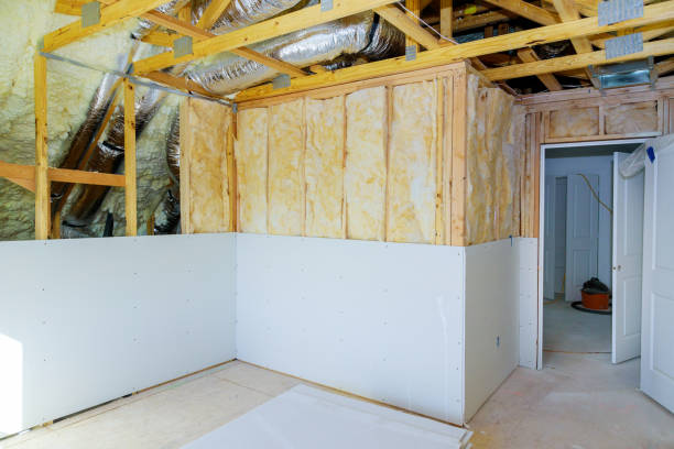 Best Insulation Maintenance and Repair in Collinsvle, IL